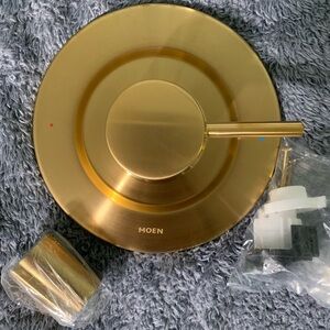 Moen Brushed Gold Shower Handle Kit